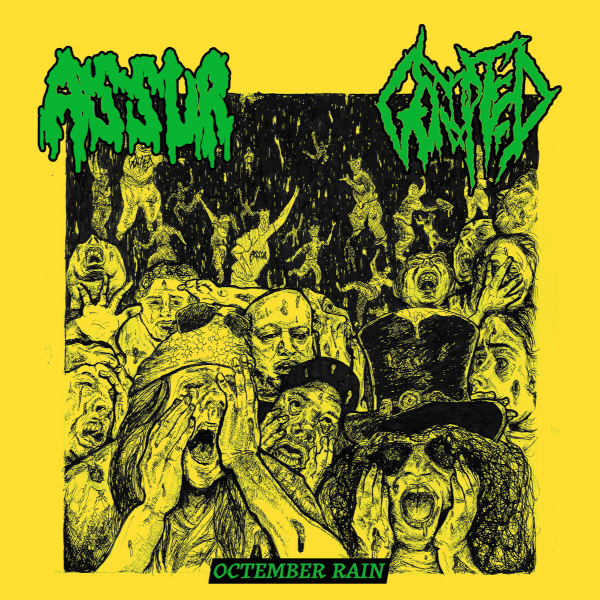 ASSUR / GORUPTED - split LP