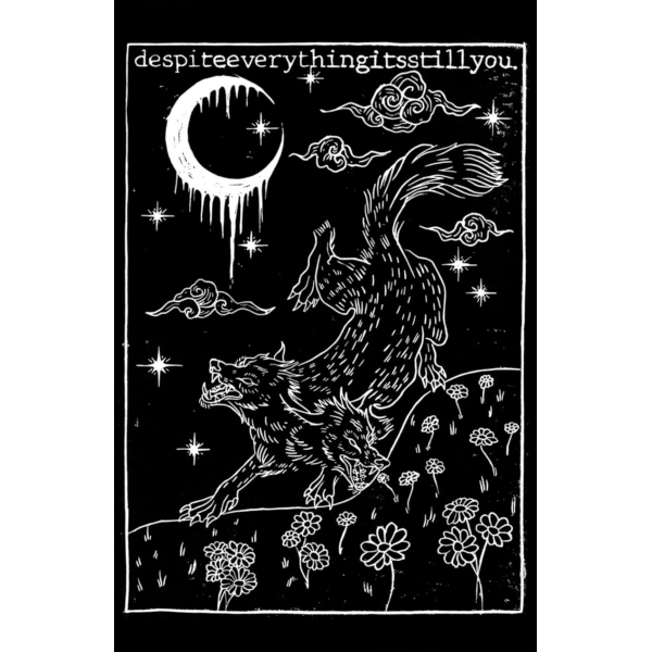 DESPITEEVERYTHING ITSSTILLYOU - s/t TAPE